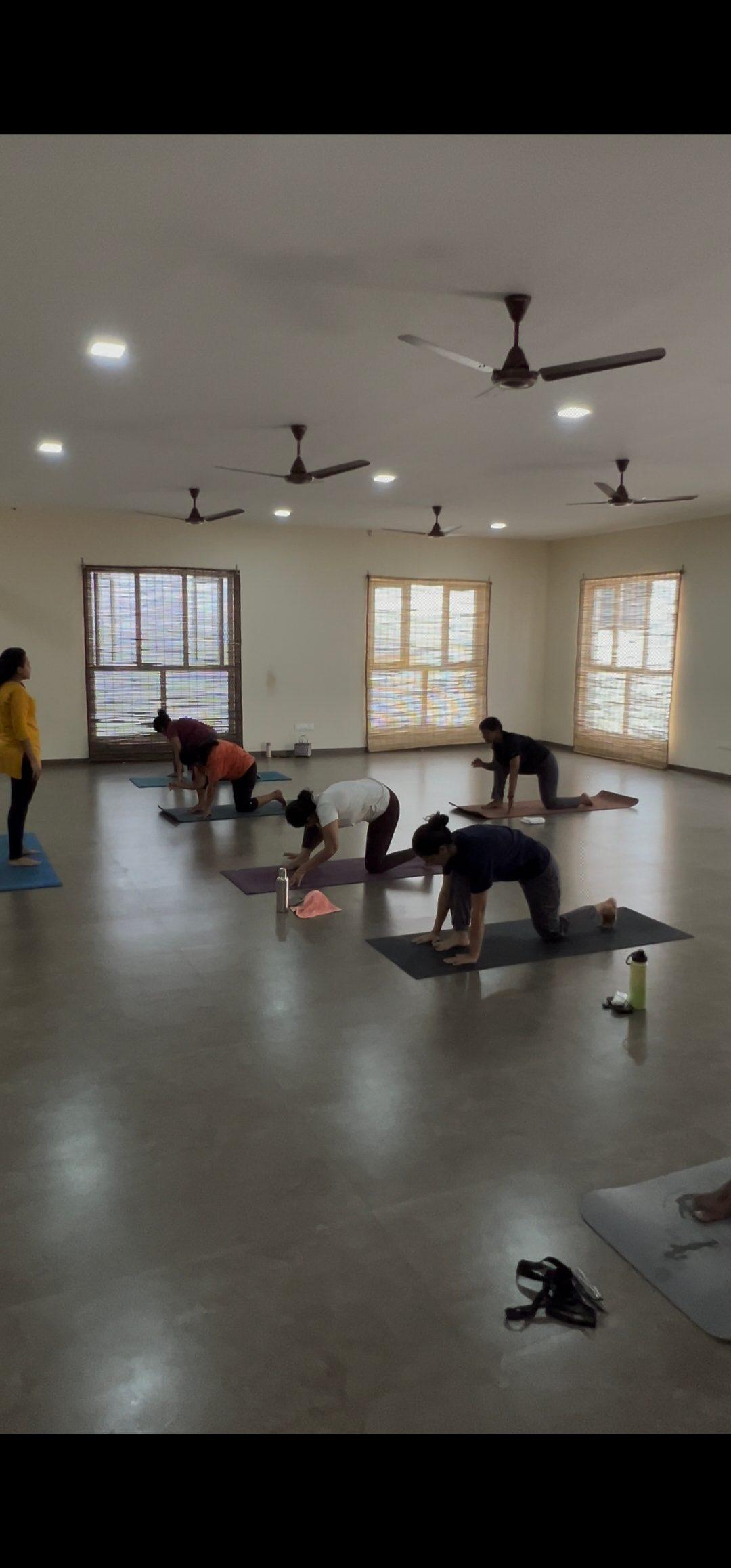 Hatha Yoga 5
