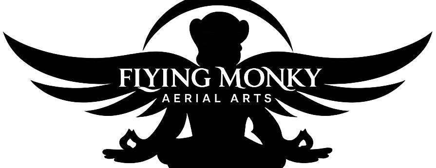 Flying Monky Aerial Arts
